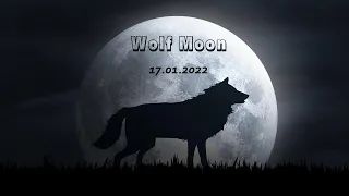 «Волчья Луна» (Wolf Moon) 17 января 2022 года: когда и как можно наблюдать