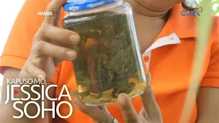 Kapuso Mo, Jessica Soho: Babae sa Butuan, sumusuka diumano ng palaka at insekto?