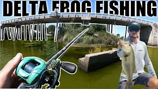 California Delta Frog Fishing | Exploring New Delta Back Waters