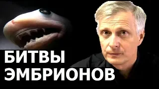 Какие страны сожрут в первую очередь. Валерий Пякин.