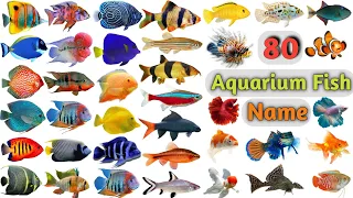 Aquarium Fish Vocabulary ll About 80 Aquarium Fishes Name In English With Pictures ll Aquarium Fish