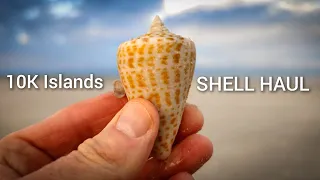 Cold Front SHELL HAUL | 10K Islands! Part 1