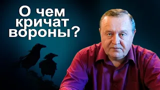 О чем кричат вороны? Основа всех болезней. Исторические мифы.  Игры. Загажено с любовью. (2012)