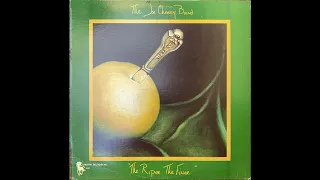 The Joe Chemay Band - The Riper the Finer [1981, AOR, funk rock, full album]