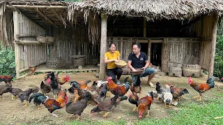 together with her husband caught chickens to sell, gardening | Hoang Huong
