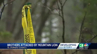 Teen who lost brother in California mountain lion attack expected to survive