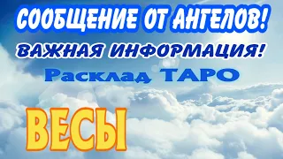 ВЕСЫ 🧚‍♂️🧚‍♂️🧚‍♂️ СООБЩЕНИЕ от АНГЕЛОВ Важная ИНФОРМАЦИЯ гадание онлайн