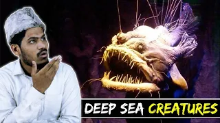 Villagers React To Deep Sea Creatures ! Tribal People React To Deep Sea Creatures