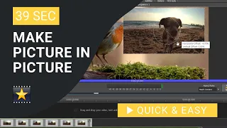 VideoPad Tutorial: How to Make Picture in Picture in VideoPad