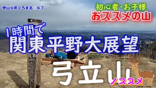 【１時間で絶景山頂へ】お手軽登山‼弓立山！埼玉近郊の方のハイキングにおススメです♪