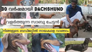 Dachshund | വാങ്ങാൻ അടിപൊളി ഒരു കെന്നൽ | Kennal | Dog Farming | Labrador|Dogs malayalam|Rottweiler