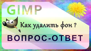 3. Как удалить фон на фотографии в GIMP.