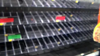 Another Walmart with alot of empty food shelves.