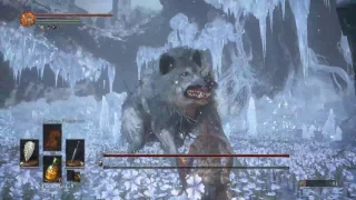 Champions Gravetender, Gravetender Great Wolf SL1(6th attempt) - Ashes Of Ariandel