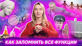 Как запомнить все функции — Елизавета @ohmySOC ЕГЭ Обществознание