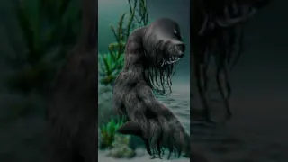 Cryptid Watch: Steller's Sea Ape #shorts
