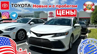 #498 Цены на Toyota West Palm Beach удивляют, новые и с пробегом