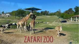 Going round at the Zafari Zoo