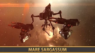 EVE ONLINE: MARE SARGASSUM [EXPEDITION]