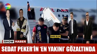 Sedat Peker'in 'en yakını' gözaltında