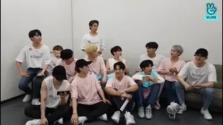 [ENG SUB] VLIVE 190403 [SEVENTEEN] HARU with CARAT 💎