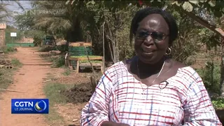 Bukina-Faso : des femmes pratiquent l’agriculture biologique