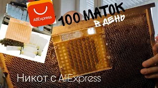 100 Маток в день - Никот с AliExpress Доработка