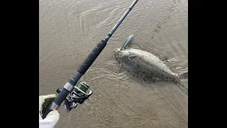 CA Surf Fishing-Catching Halibut, Perch and Sharks By Hand