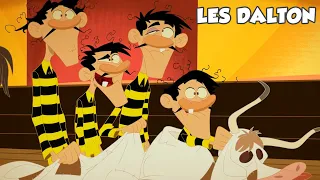 Les Dalton | Le déguisement raté (Saison 2) Compilation d'épisodes HD (FR)