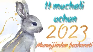 It muchali uchun Munajjimlar bashorati #2023