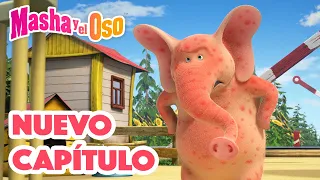 👱‍♀️ Masha y el Oso 🐻 Nuevo capítulo 🐽🍼 ¡Los Nuevos Chicos del Barrio!