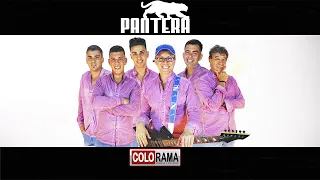 PANTERA - El Titular (CACERES-PLACERES)