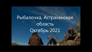 Рыбалочка посёлок Зеленга Астраханской области. Октябрь 2021