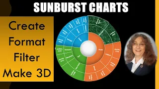 Unlock the Power of an Excel Sunburst Chart #sunburstchart