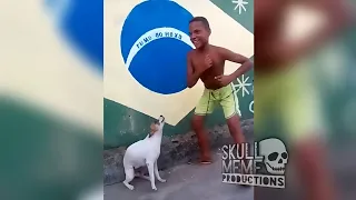 Cachorro Dançando!