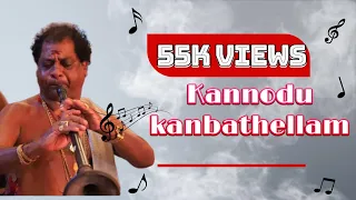 Kannodu kanbathellam song by nathaswaram NRK.மாக்கையா & kp.குமரன் ps.பாலமுருகன் #carnatic #best