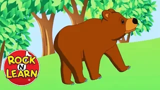 The Bear Went Over the Mountain | Songs for Kids