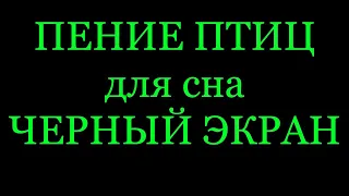 Пение птиц для сна. Черный экран. 8 часов