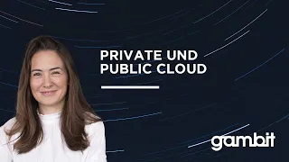 SAP S/4HANA Insight Cloud Edition: Public und Private Cloud