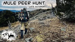 Late October Mule Deer Hunt British Columbia 2023