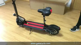 Folding Electric Scooter E10