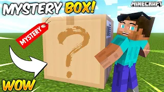 Minecraft But There are MYSTERY BOX!