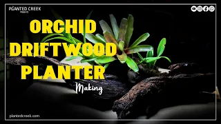 How to make a orchid driftwood planter #planter #driftwood #plantedcreek #diy