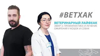 Приглашение Ветхак #3: Профилактика и лечение ожирения у собак и кошек