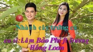 Nhành Cây Trứng Cá-Lâm Bảo Phi ft Dương Hồng Loan