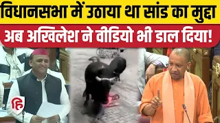 Akhilesh Yadav Speech: सपा ने शेयर किया सांड के हमले का Video Vidhan Sabha में उठा था मुद्दा।CM Yogi