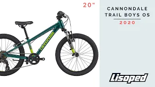 Детский велосипед Cannondale TRAIL BOYS OS 20" (2020)