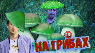 На грибах. Бампер і Сус