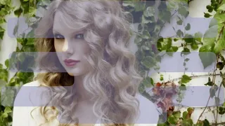 Superman - Taylor Swift (vietsub) Track 16 on Speak Now