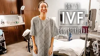 IVF Egg Retrieval Day! - How Many Eggs Did We Get?!?!?!